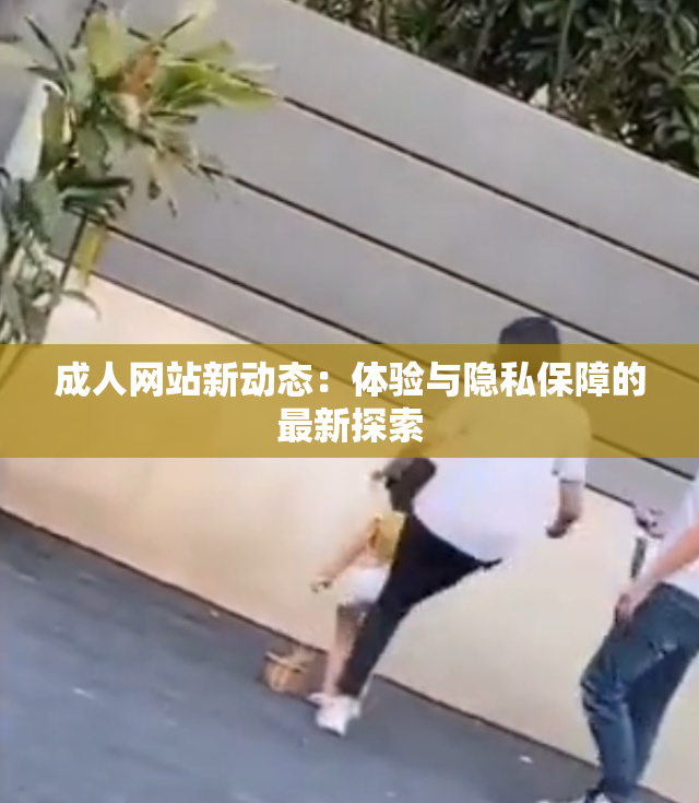 成人网站新动态：体验与隐私保障的最新探索