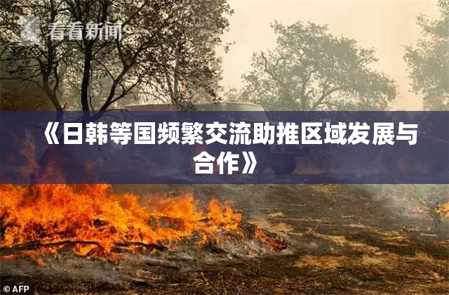 《日韩等国频繁交流助推区域发展与合作》