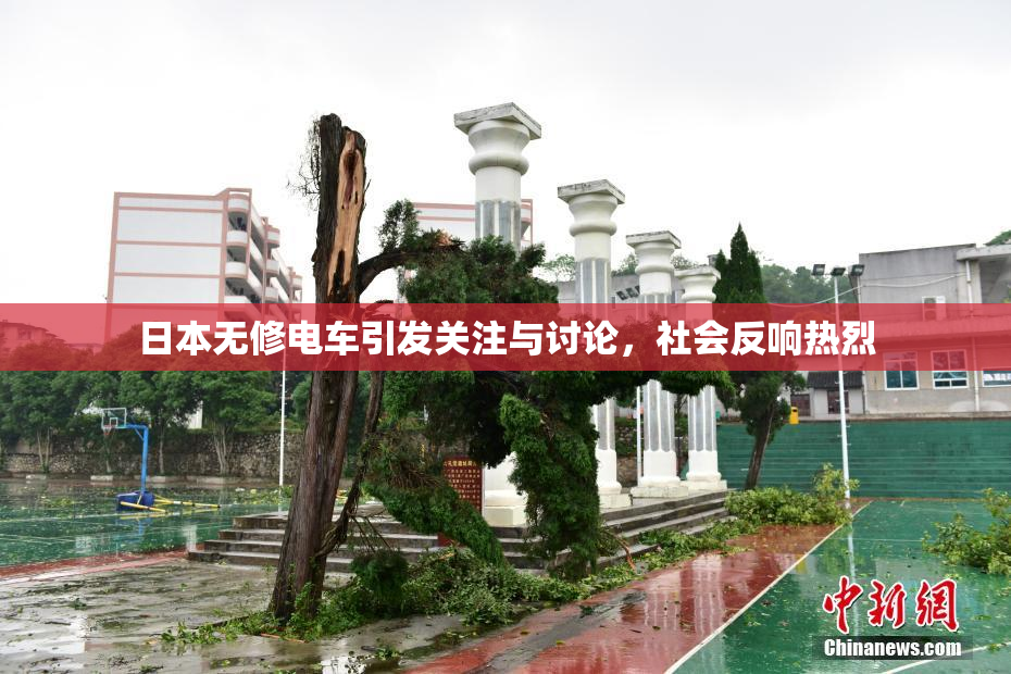日本无修电车引发关注与讨论，社会反响热烈