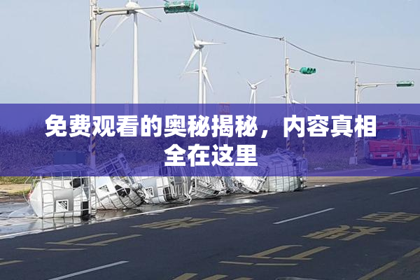 免费观看的奥秘揭秘，内容真相全在这里