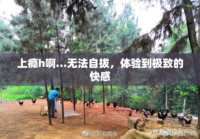 上瘾h啊…无法自拔，体验到极致的快感