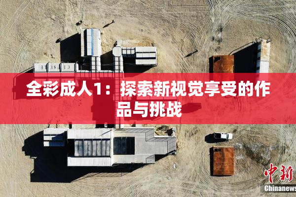 全彩成人1：探索新视觉享受的作品与挑战