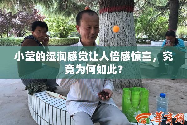 小莹的湿润感觉让人倍感惊喜，究竟为何如此？
