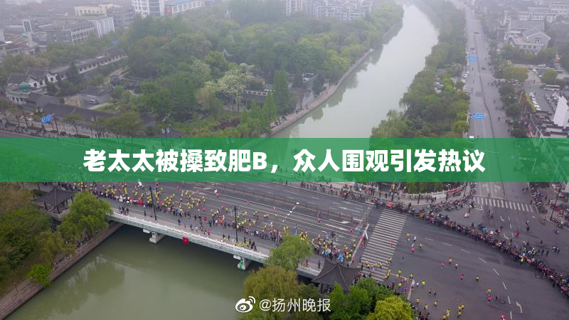 老太太被搡致肥B，众人围观引发热议