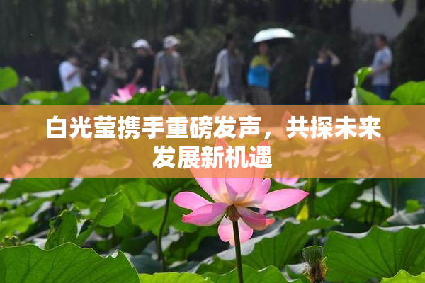 白光莹携手重磅发声，共探未来发展新机遇
