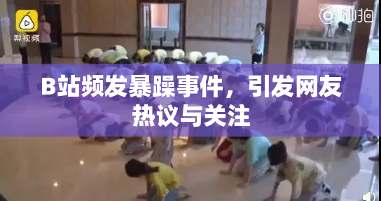 B站频发暴躁事件，引发网友热议与关注
