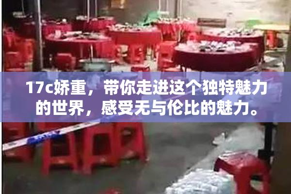17c娇重，带你走进这个独特魅力的世界，感受无与伦比的魅力。