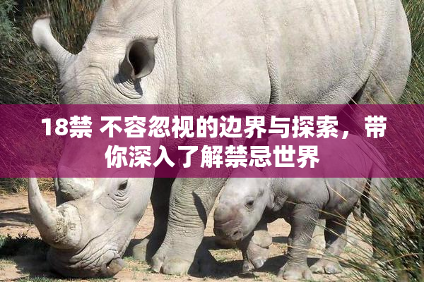 18禁 不容忽视的边界与探索，带你深入了解禁忌世界