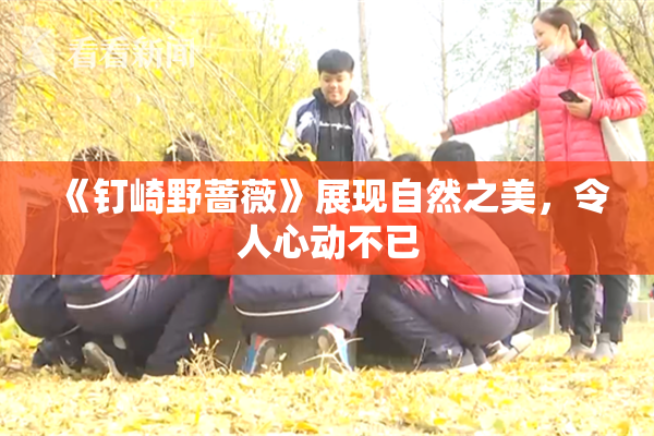 《钉崎野蔷薇》展现自然之美，令人心动不已