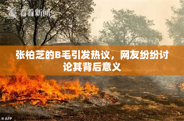 张柏芝的B毛引发热议，网友纷纷讨论其背后意义
