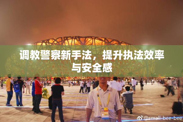 调教警察新手法，提升执法效率与安全感