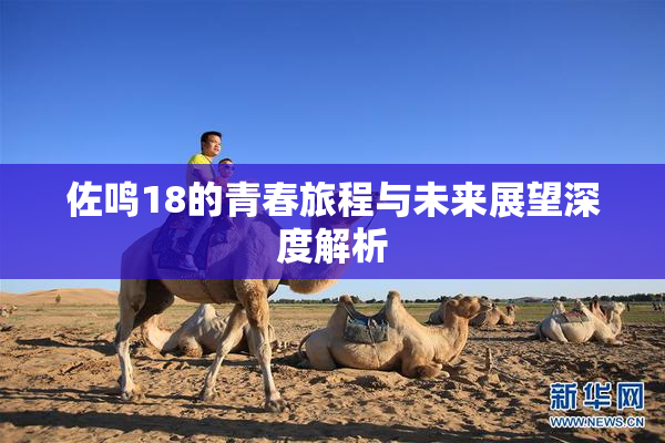 佐鸣18的青春旅程与未来展望深度解析