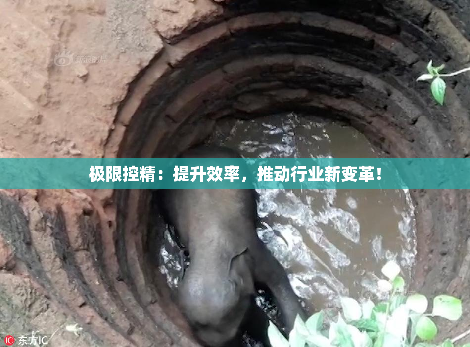 极限控精：提升效率，推动行业新变革！