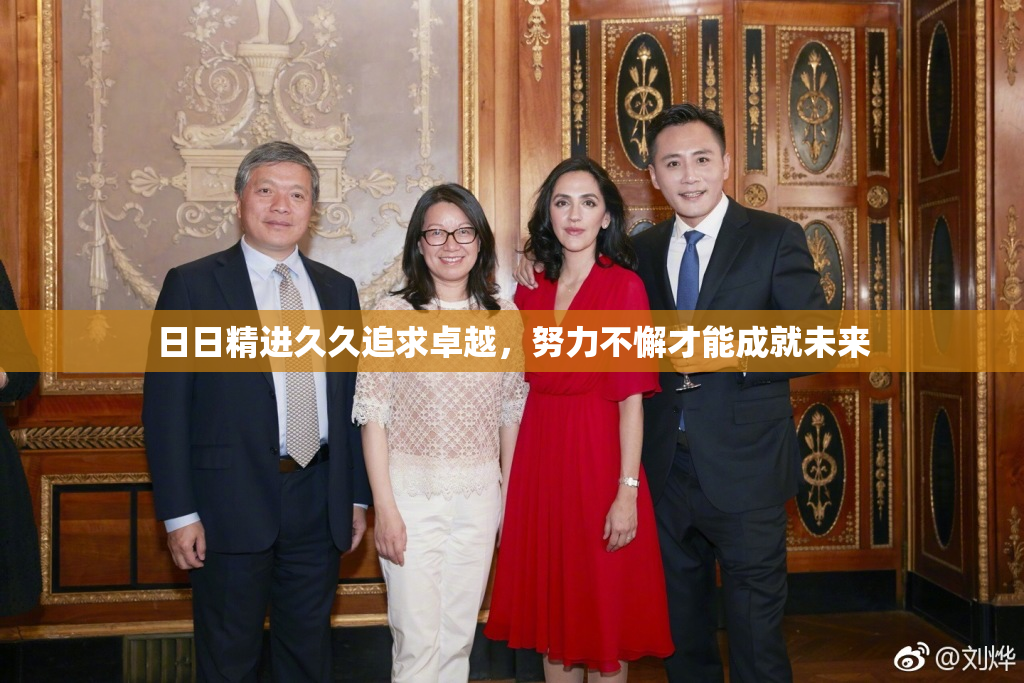 日日精进久久追求卓越，努力不懈才能成就未来