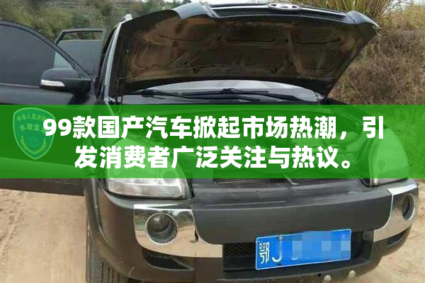 99款国产汽车掀起市场热潮，引发消费者广泛关注与热议。