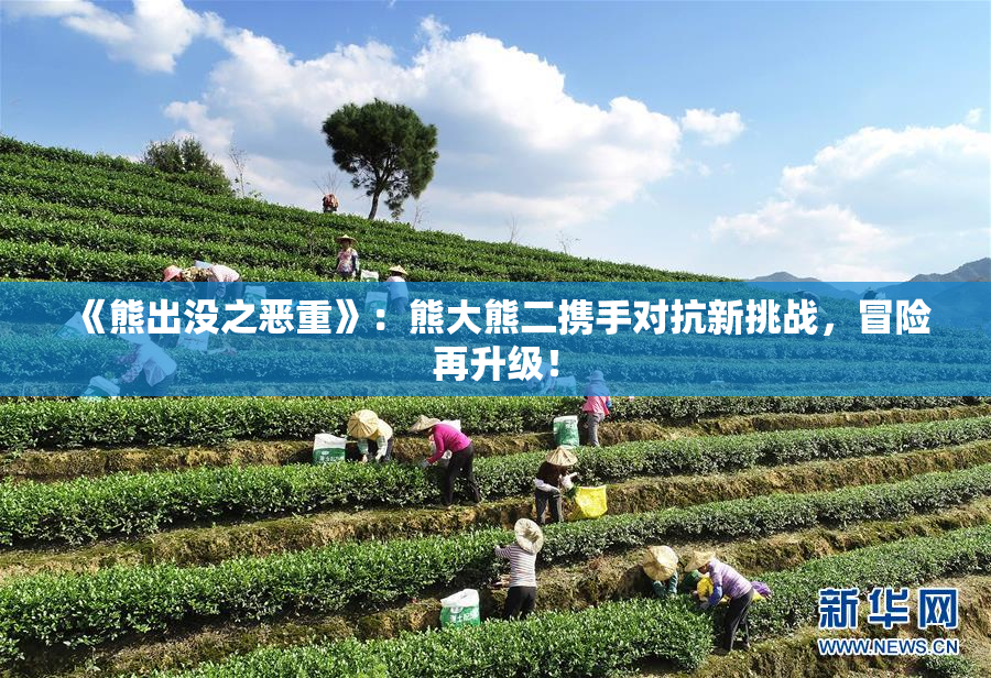 《熊出没之恶重》：熊大熊二携手对抗新挑战，冒险再升级！