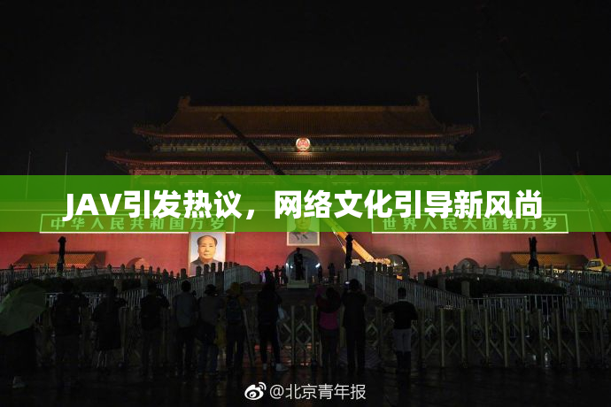 JAV引发热议，网络文化引导新风尚