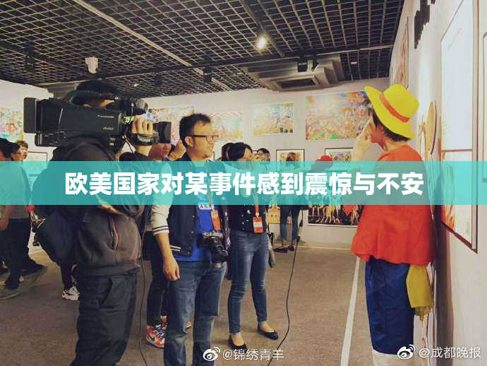 欧美国家对某事件感到震惊与不安
