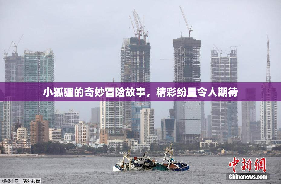 小狐狸的奇妙冒险故事，精彩纷呈令人期待