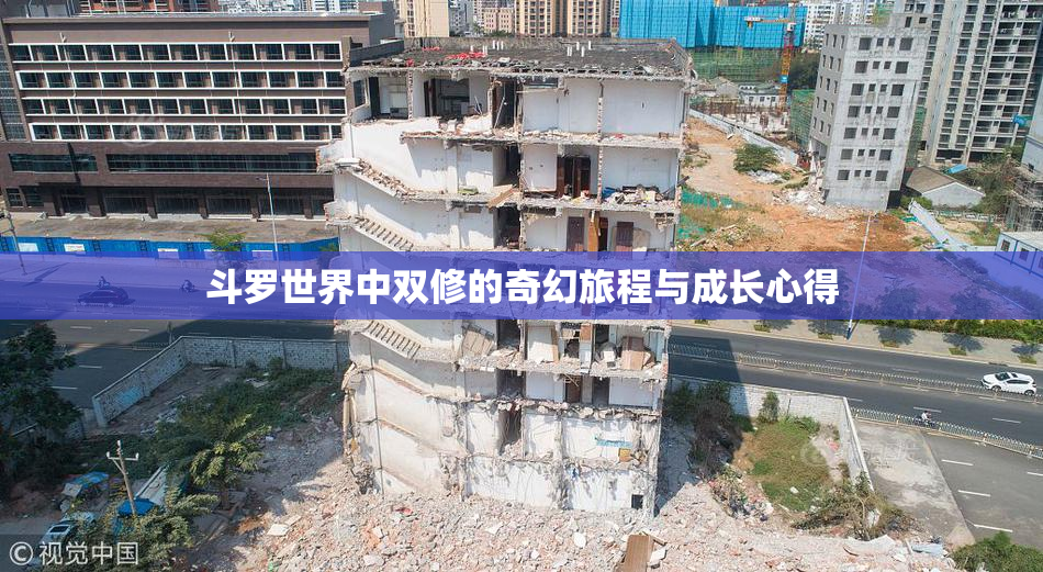 斗罗世界中双修的奇幻旅程与成长心得
