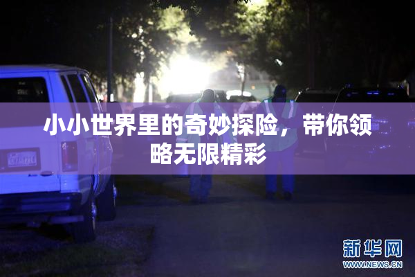小小世界里的奇妙探险，带你领略无限精彩