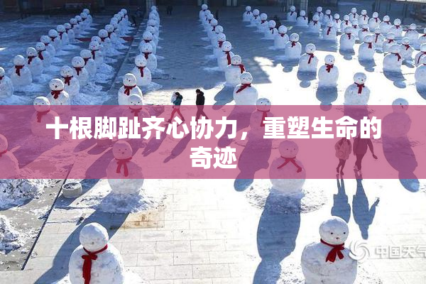 十根脚趾齐心协力，重塑生命的奇迹