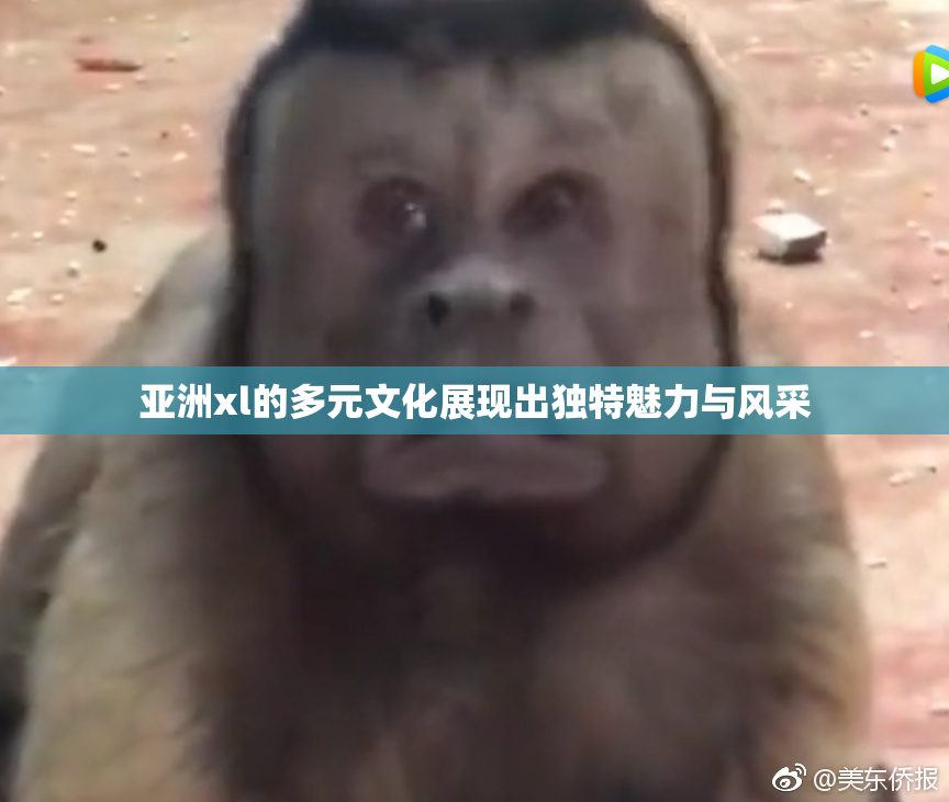 亚洲xl的多元文化展现出独特魅力与风采