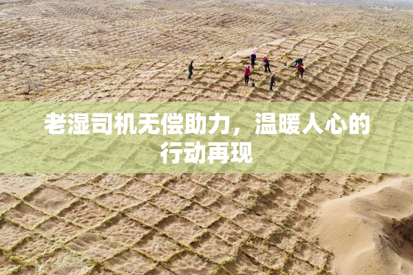 老湿司机无偿助力，温暖人心的行动再现