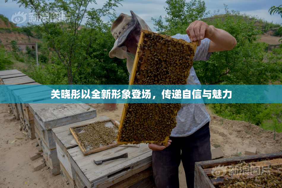 关晓彤以全新形象登场，传递自信与魅力
