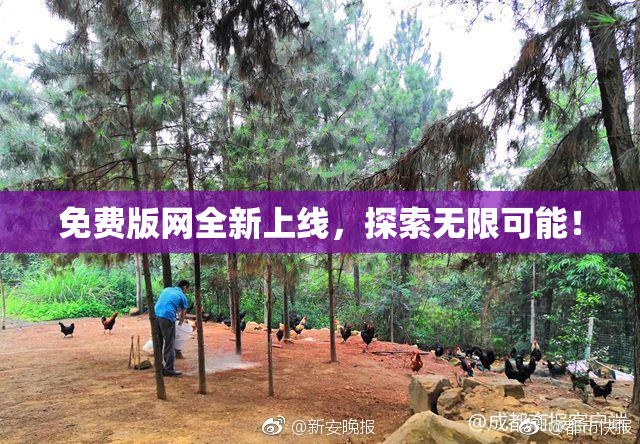 免费版网全新上线，探索无限可能！