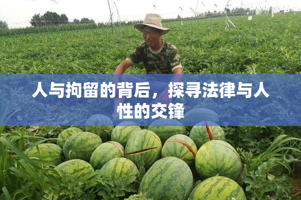 人与拘留的背后，探寻法律与人性的交锋
