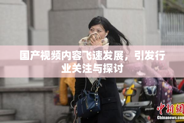 国产视频内容飞速发展，引发行业关注与探讨