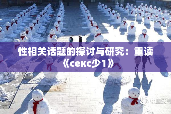 性相关话题的探讨与研究：重读《секс少1》