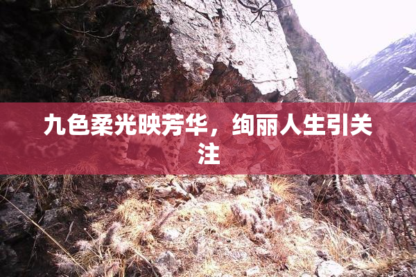 九色柔光映芳华，绚丽人生引关注