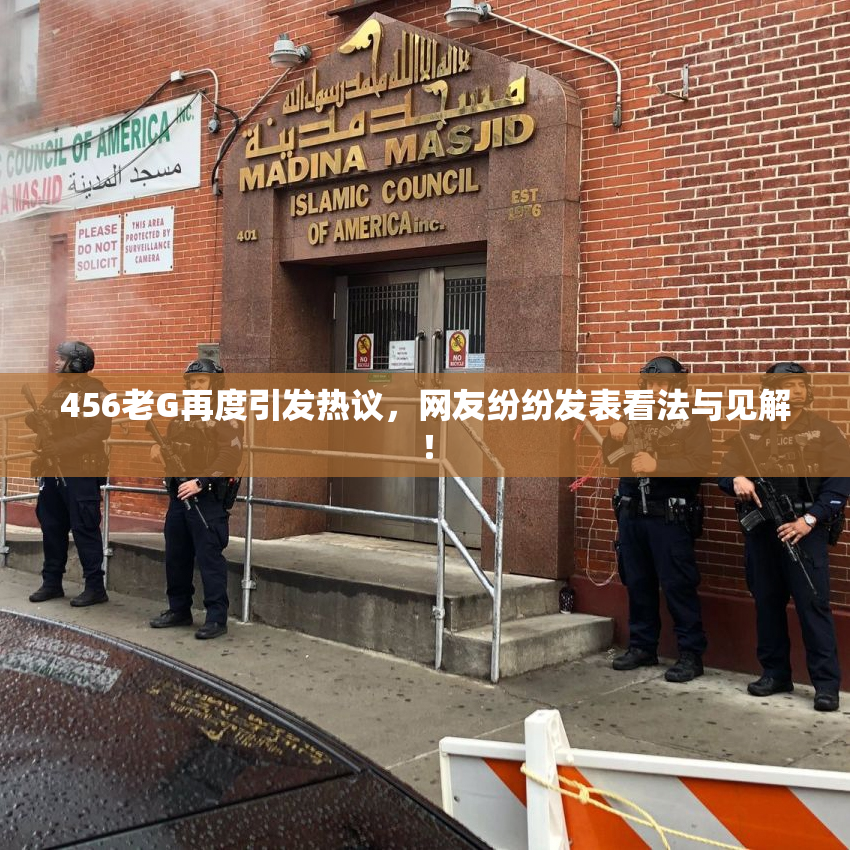 456老G再度引发热议，网友纷纷发表看法与见解！