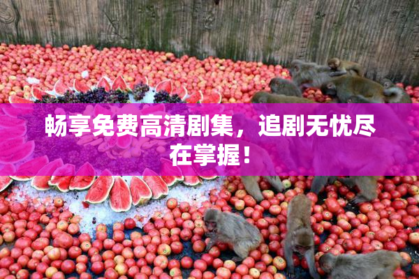 畅享免费高清剧集，追剧无忧尽在掌握！