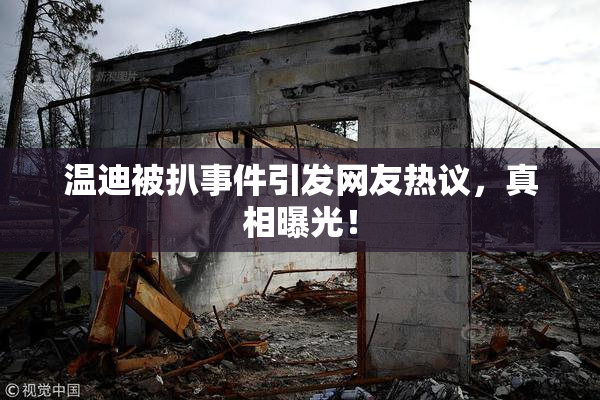 温迪被扒事件引发网友热议，真相曝光！