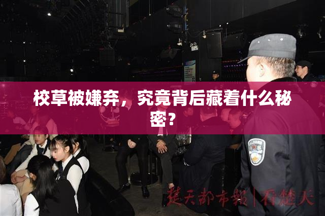 校草被嫌弃，究竟背后藏着什么秘密？