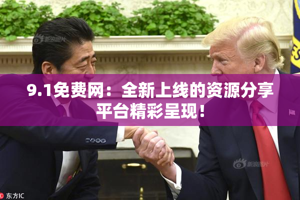 9.1免费网：全新上线的资源分享平台精彩呈现！
