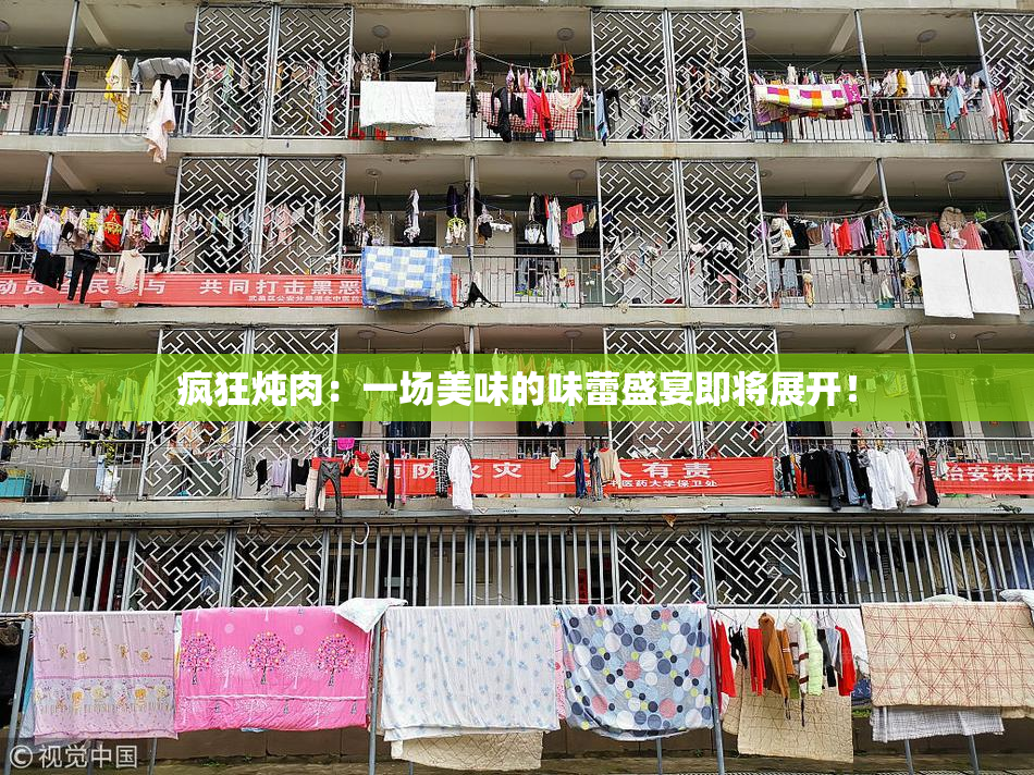 疯狂炖肉：一场美味的味蕾盛宴即将展开！