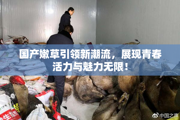 国产嫩草引领新潮流，展现青春活力与魅力无限！