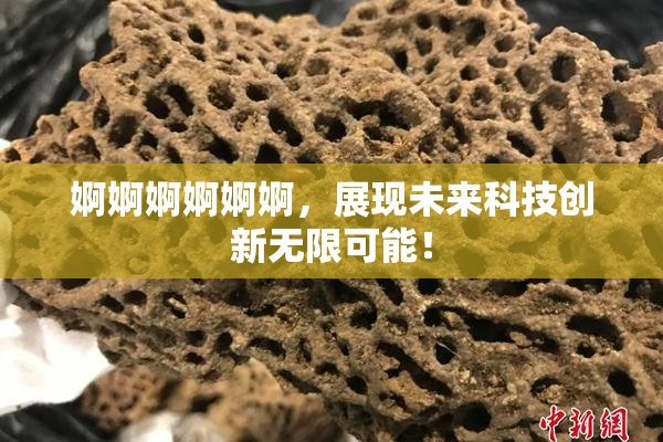 婀婀婀婀婀婀，展现未来科技创新无限可能！