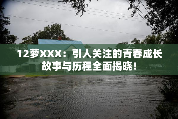 12萝XXX：引人关注的青春成长故事与历程全面揭晓！