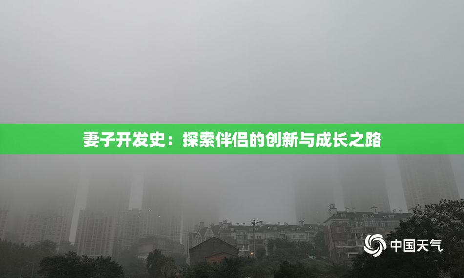 妻子开发史：探索伴侣的创新与成长之路