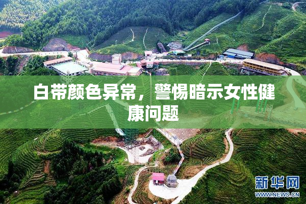白带颜色异常，警惕暗示女性健康问题