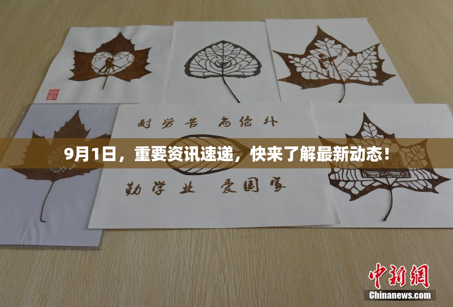 9月1日，重要资讯速递，快来了解最新动态！