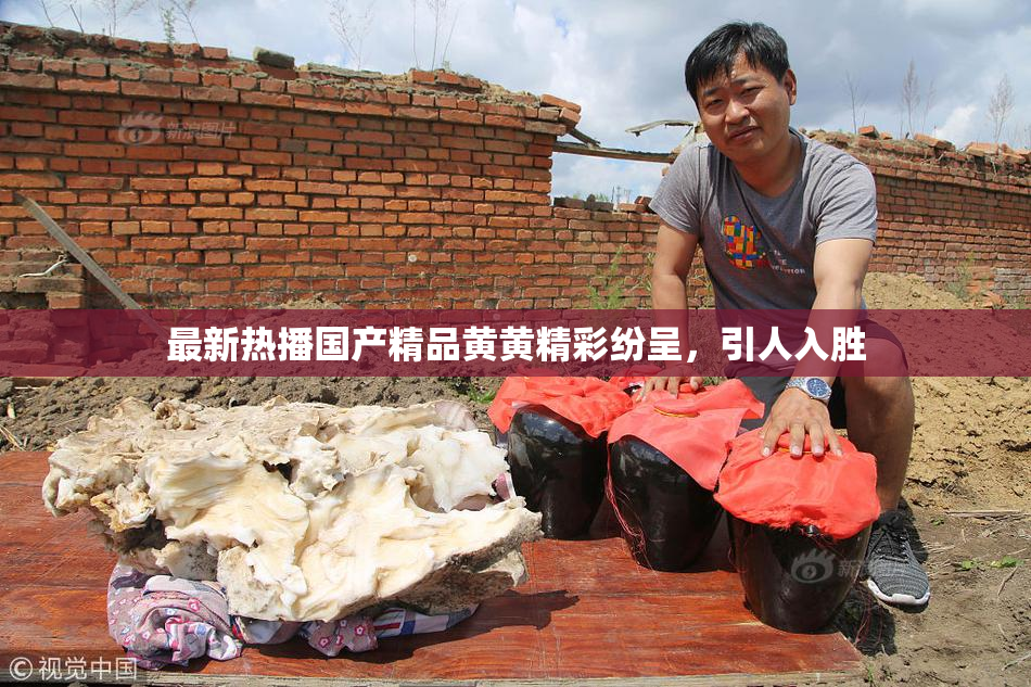 最新热播国产精品黄黄精彩纷呈，引人入胜