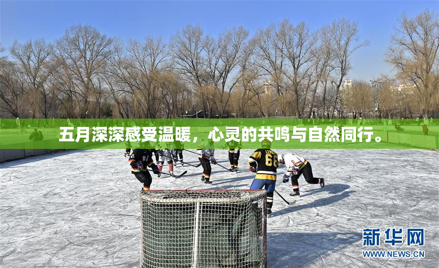 五月深深感受温暖，心灵的共鸣与自然同行。