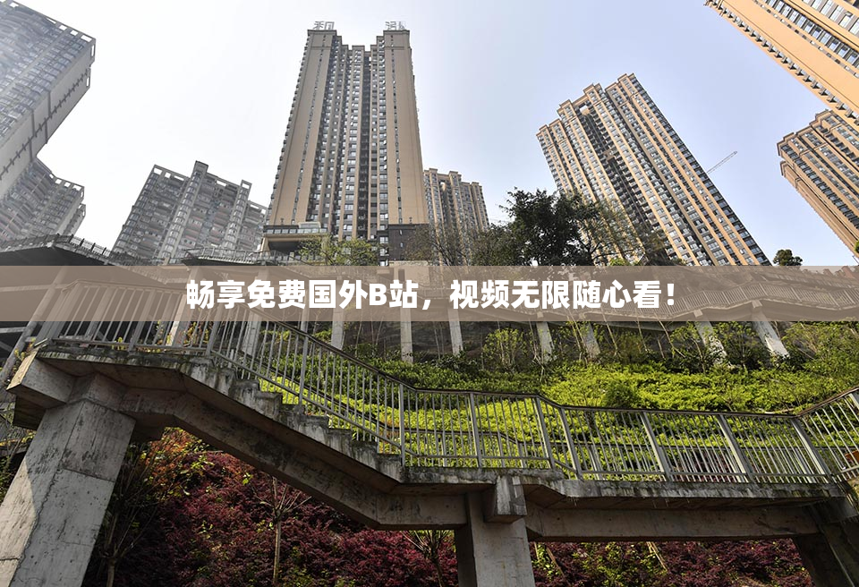畅享免费国外B站，视频无限随心看！