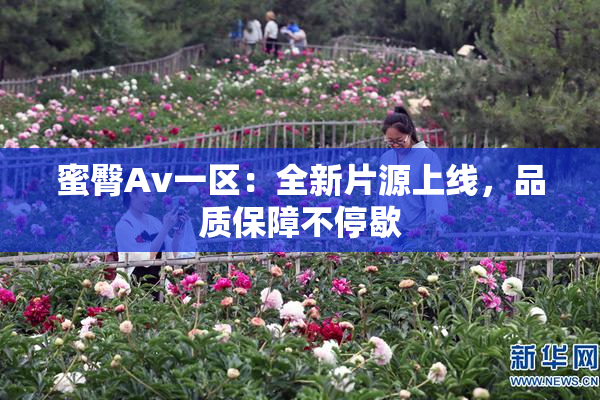 蜜臀Av一区：全新片源上线，品质保障不停歇